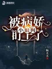 笨蛋美人失忆后被独宠爆红[娱乐圈