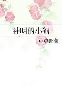 隐婚妻子太神秘