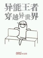 巅峰政途