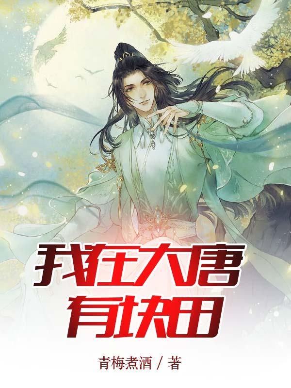 热寂边界：从工程师到逆熵至尊