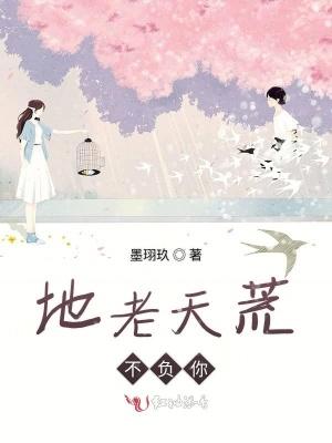欢喜记石头与水TXT百度网盘