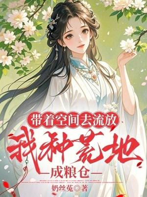 千金记石头与水番外完整版