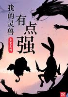 将军嫁到