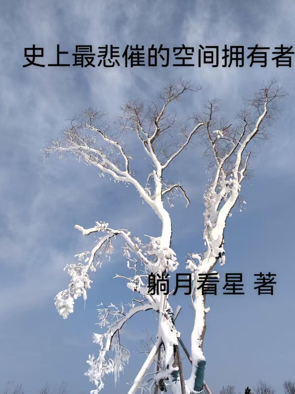 九省状元考科举？我被皇帝盯上了