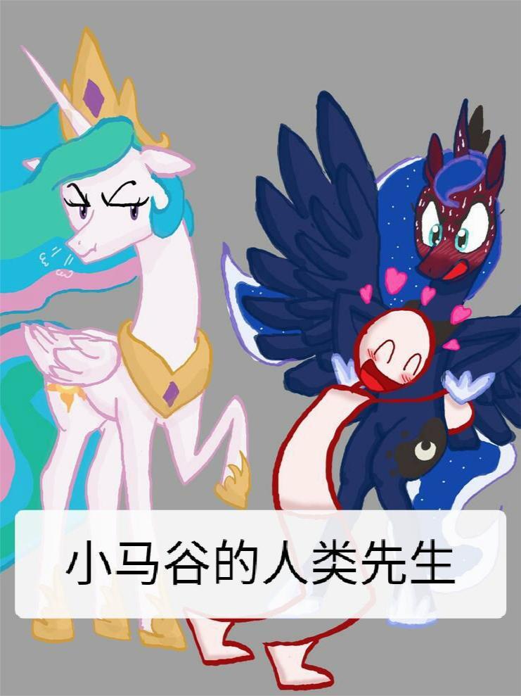 匹夫的荣耀