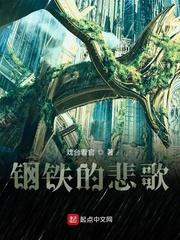 盛气之少年高手