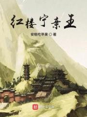 重生2008金融风暴