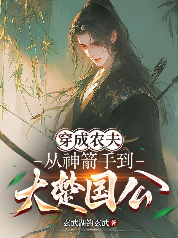 赘婿之男儿本色