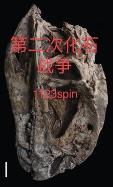 张元全民抽卡转职我一抽满命