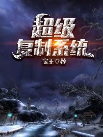 武道丹帝叶炎云飞雪