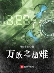 海贼王之窃贼