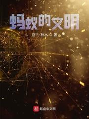 陆尘夏倾城