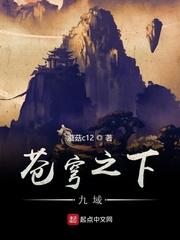 守护之执政官