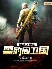 怪探是个偷儿