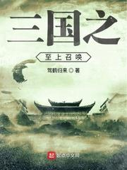 赵正宁小茶