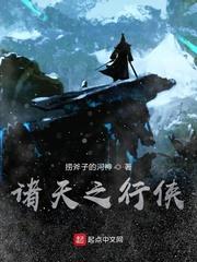 全职猎人文豪野犬