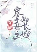 谜案追凶免费阅读